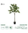GloboStar® Artificial Garden ORANGE TREE 21109 Τεχνητό Διακοσμητικό Δέντρο Πορτοκαλιά Μ90 x Π70 x Υ160cm